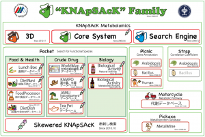 KNApSAc