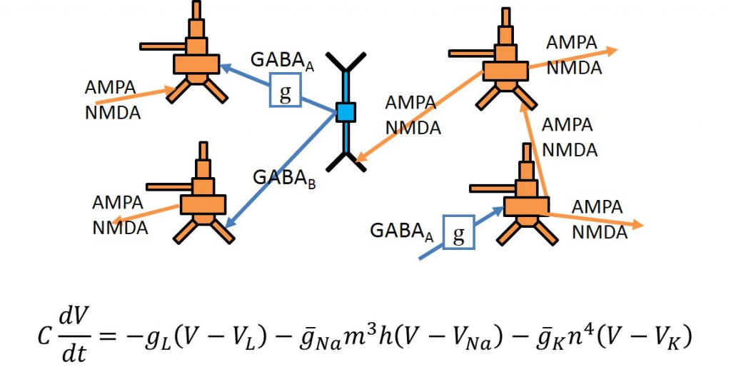 epilepsymodel