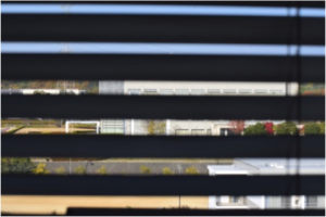 OMI-fig1_center