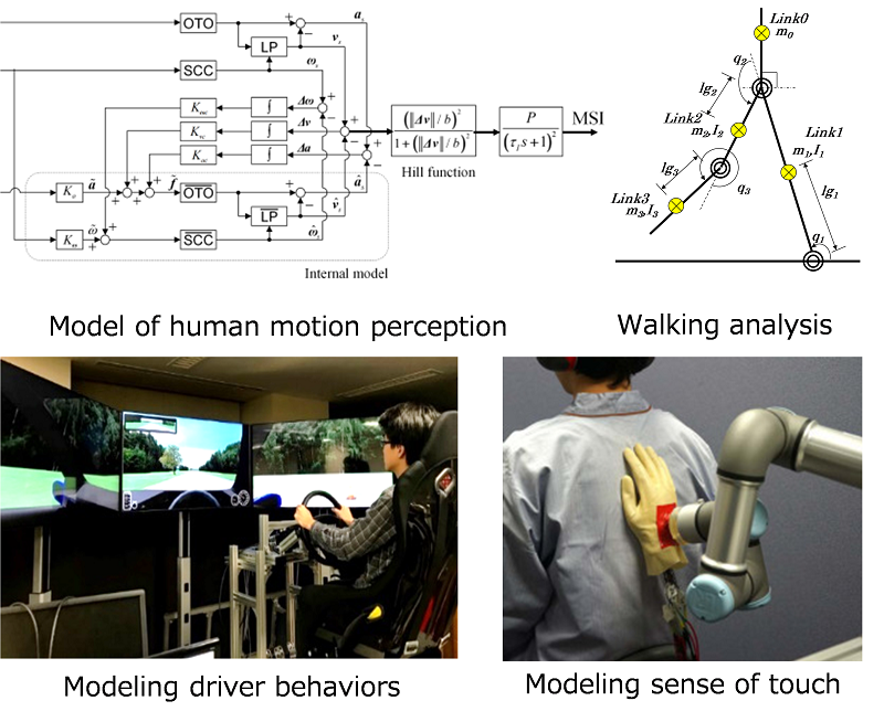 Fig.2: Examples of human modeling research