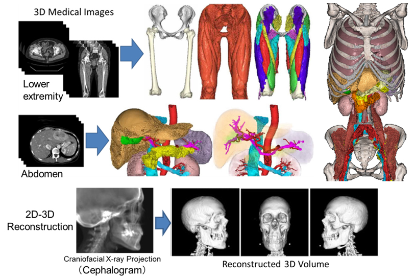 Fig. 2 Virtualized human anatomy