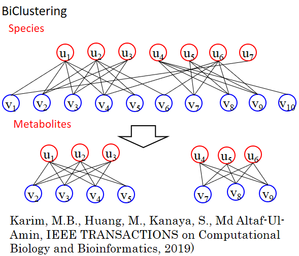 Fig.2 The novel algorithm BiClustering (BiClus) has been developed in our lab, which makes it possible to create groups based on two different attributes.