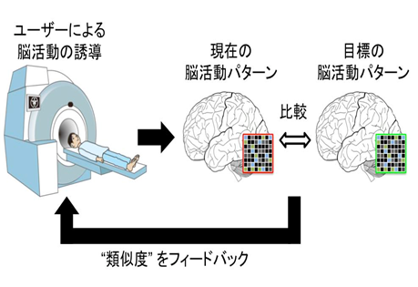 Fig.5 Neurofeedback